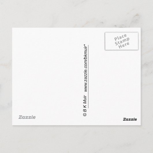 Carte postale - Mantis en prière (Dos)