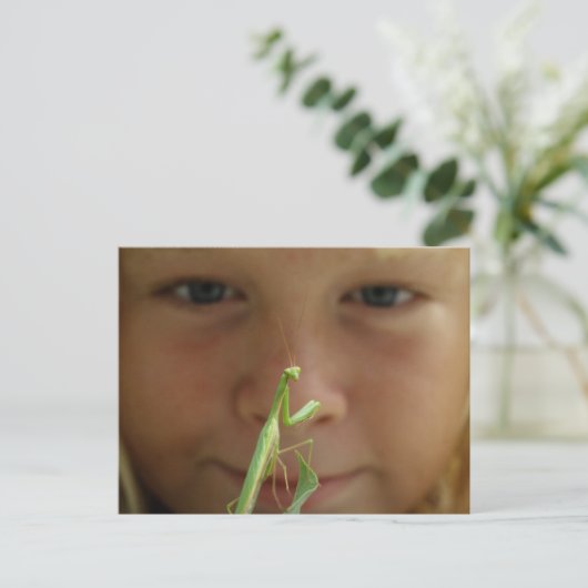 Carte Postale Mantis religiosa (Debout devant)