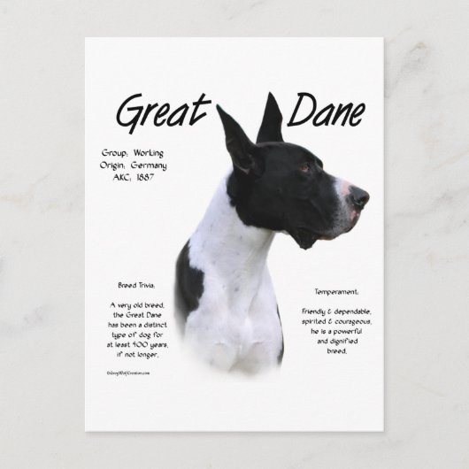 Carte Postale Mantle Great Dane Rencontrez la race (Devant)