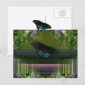 Carte Postale Mantle papillon (Devant / Derrière)