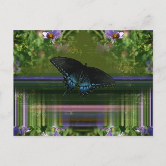 Carte Postale Mantle papillon (Devant)