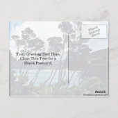 Carte Postale Manuka Arbustes Et Plage, Stewart Island (Dos)