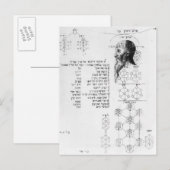 Carte Postale manuscrit juif illustrant la phréologie (Devant / Derrière)