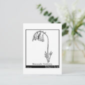 Carte Postale Manypeeplia Upsidownia. (Debout devant)