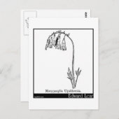 Carte Postale Manypeeplia Upsidownia. (Devant / Derrière)