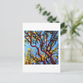 Carte Postale Manzanita en automne (Debout devant)