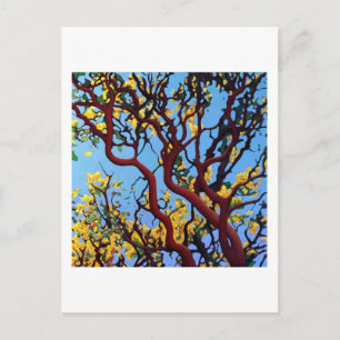 Carte Postale Manzanita en automne