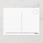 Carte Postale Maori Women, Nouvelle-Zélande (Dos)