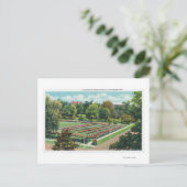 Carte Postale Maplewood Park Rose Garden View (Debout devant)