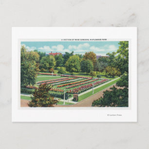 Carte Postale Maplewood Park Rose Garden View