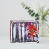 Carte postale Maquereau frais (Debout devant)