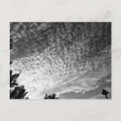 Carte Postale Maquereau Sky : Noir et Blanc (Devant)