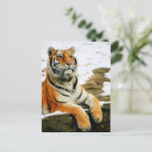 Carte Postale - Mara - (Debout devant)