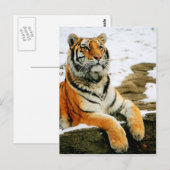 Carte Postale - Mara - (Devant / Derrière)