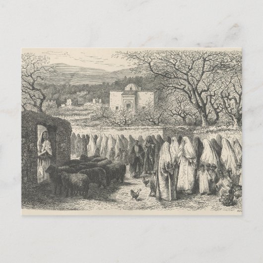 Carte Postale Marabout et procession : Tlemcen (Devant)