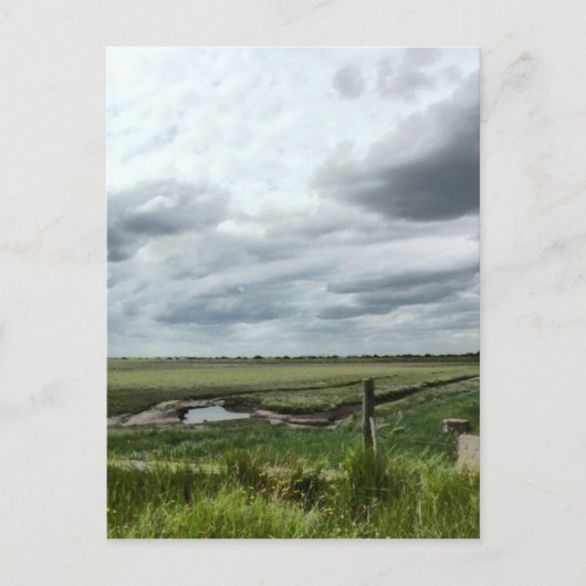 Carte Postale Marais (Devant)