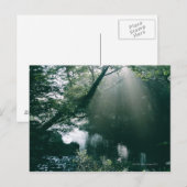 Carte Postale Marais 3 (Devant / Derrière)