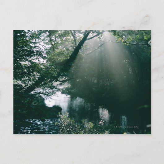 Carte Postale Marais 3 (Devant)