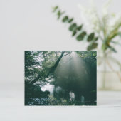 Carte Postale Marais 3 (Debout devant)