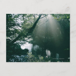 Carte Postale Marais 3