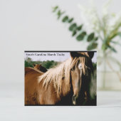 Carte Postale Marais de Caroline du Sud (Debout devant)