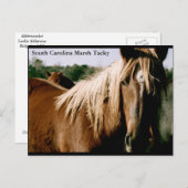 Carte Postale Marais de Caroline du Sud (Devant / Derrière)