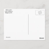 Carte Postale Marais de Caroline du Sud (Dos)