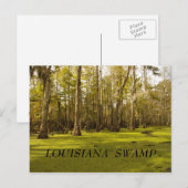 Carte Postale Marais de la Louisiane (LA), MARAIS de la (Devant / Derrière)