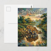 Carte Postale Marais du Pantanal Brésil (Devant / Derrière)