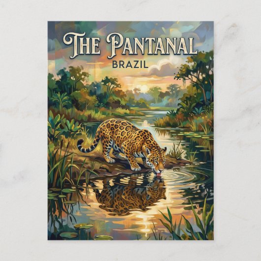 Carte Postale Marais du Pantanal Brésil (Devant)