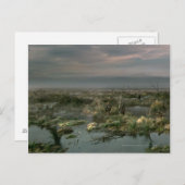 Carte Postale Marais morts (Devant / Derrière)