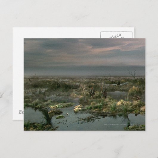 Carte Postale Marais morts (Devant / Derrière)