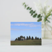 Carte Postale Marais salé de Cape Cod (Debout devant)