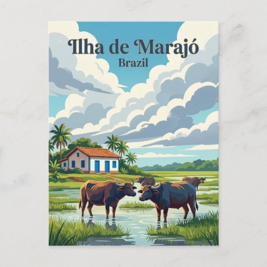 Carte Postale Marajó Brésil (Devant)