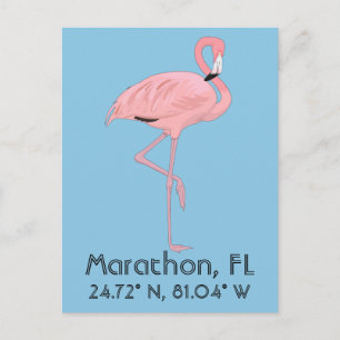 Carte Postale Marathon FL Keys Flamant rose Latitude Longitude