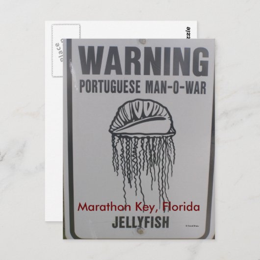 Carte Postale Marathon Key, Floride (Devant / Derrière)
