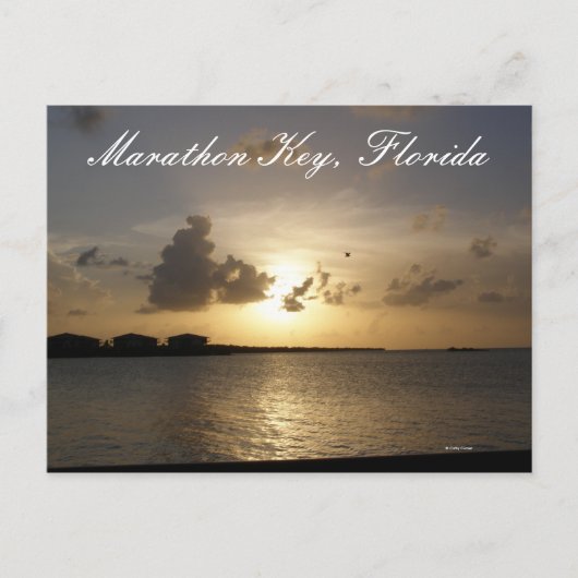 Carte Postale Marathon Key, Floride (Devant)