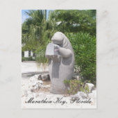 Carte Postale Marathon Key, Floride (Devant)