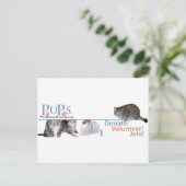 Carte Postale Marchandise de logo de PUPs avec des chats (Debout devant)