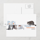 Carte Postale Marchandise de logo de PUPs avec des chats (Devant / Derrière)