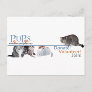 Carte Postale Marchandise de logo de PUPs avec des chats