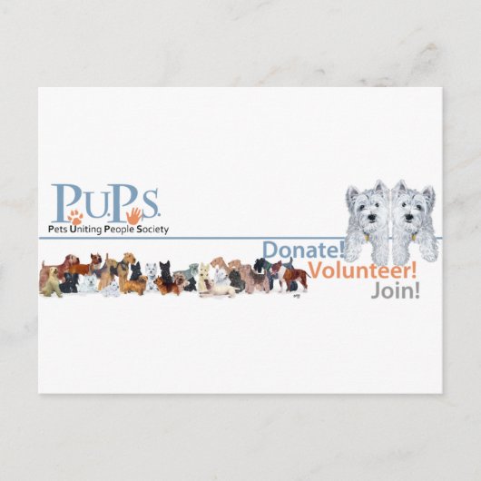 Carte Postale Marchandise de logo de PUPs avec Westie Pups (Devant)