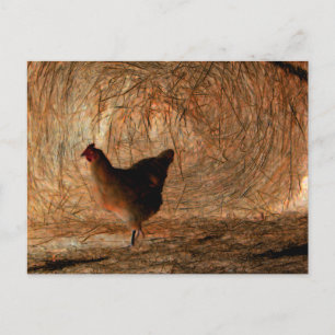 Carte Postale "Marchant" - Photo de poulet et de foin améliorée