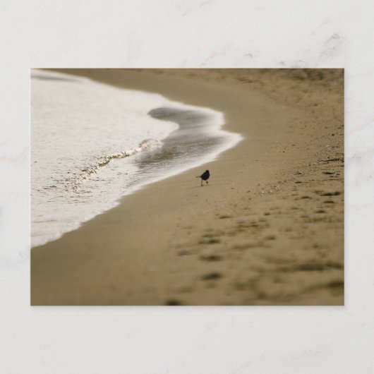 Carte Postale Marche (Devant)