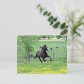 Carte Postale Marche à ressort (Debout devant)