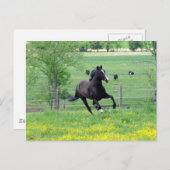 Carte Postale Marche à ressort (Devant / Derrière)