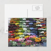 Carte Postale Marché aux fleurs (Devant / Derrière)