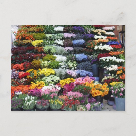 Carte Postale Marché aux fleurs (Devant)