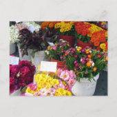 Carte postale – Marché aux fleurs (Devant)
