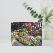 Carte Postale Marché Aux Fleurs À Nice En France (Debout devant)